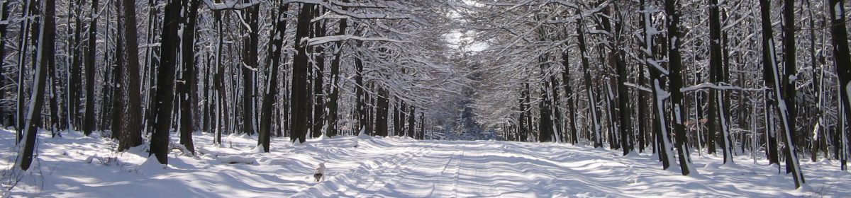 Chalet Coin du Bois